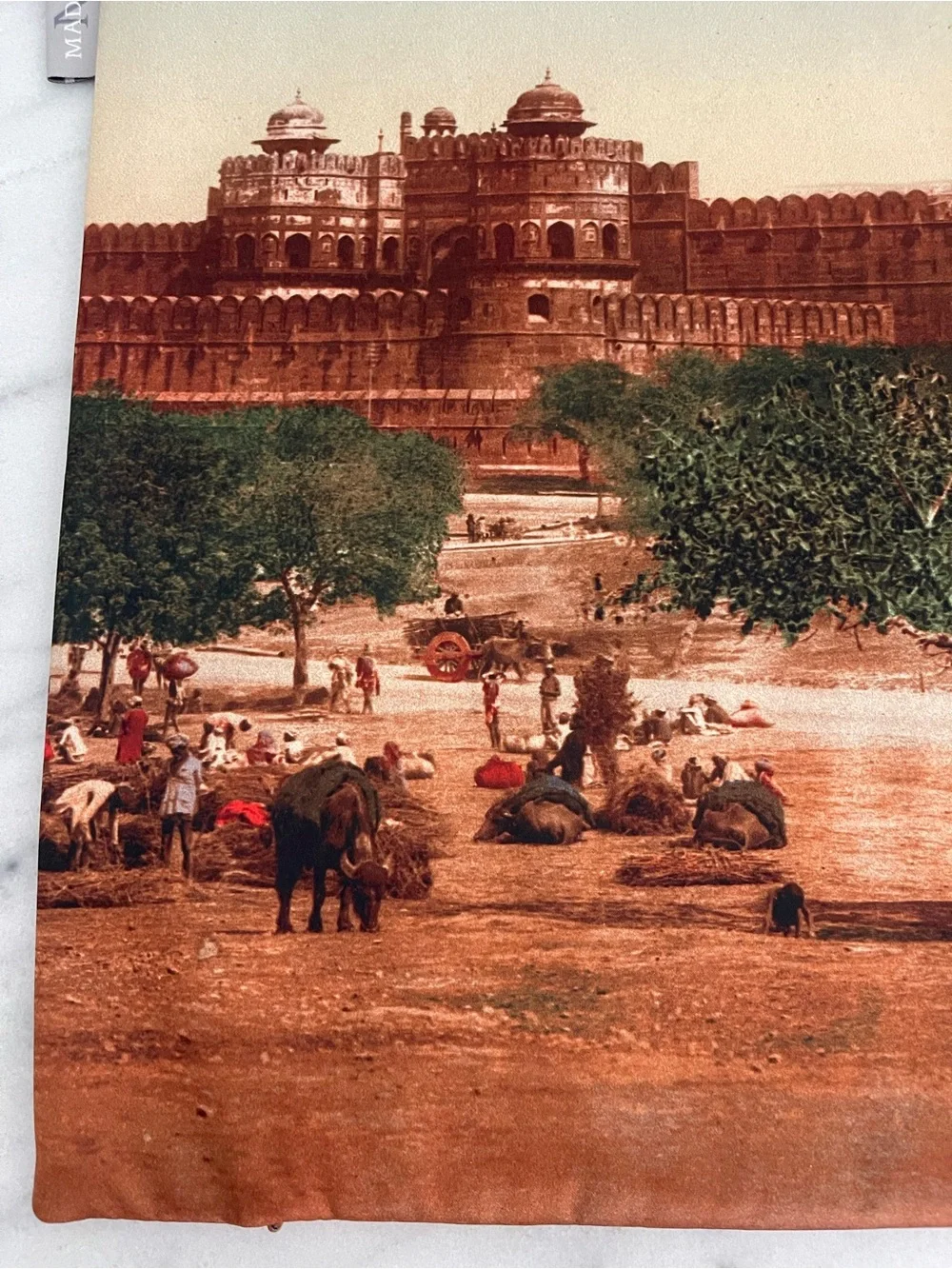 Scenic Printed Pillow Cover w Historic red fort Agra India Agra fort pillow case